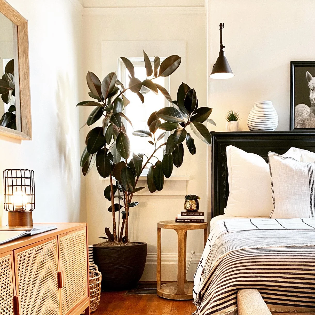 A warm, naturally-lit Marin interior &mdash; bedroom corner with plant and editorial restraint